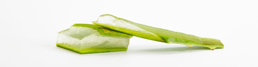 A close-up image of a fresh aloe vera slice - nature's healing and skincare benefits